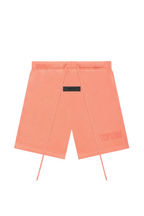Essential Coral Shorts